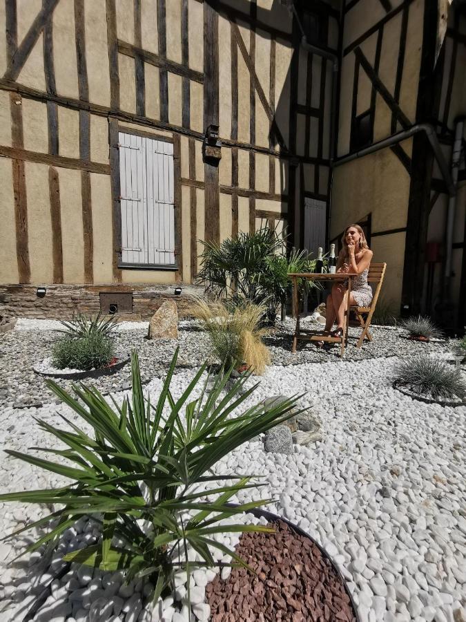 Le Papillon De La Cathedrale - Calme - Jardin - Wifi Apartment Troyes Exterior photo